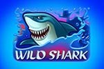 Wild Shark